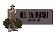 mr. sadowski